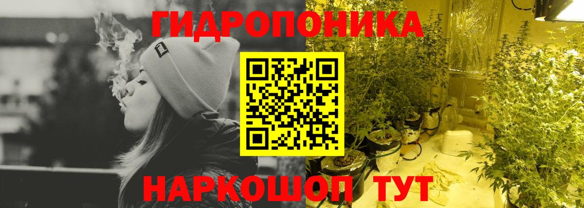 Бошки Шишки сатива Усть-Джегута