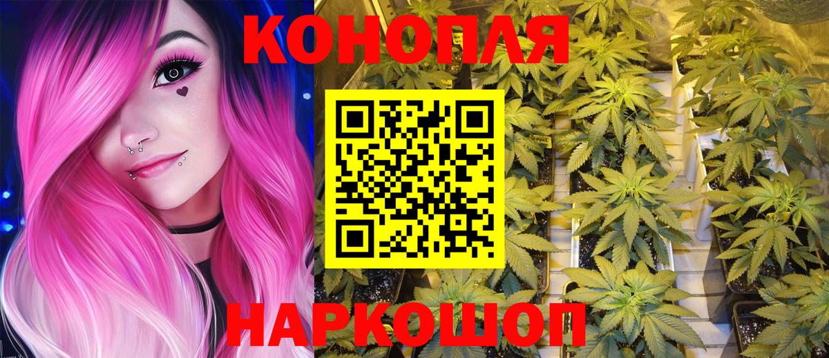 Бошки Шишки Amnesia  Конопля гибрид  Марихуана тримм  Вход с VPN  Усть-Джегута 